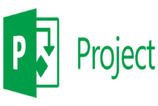 I will create project plan gantt chart in microsoft project