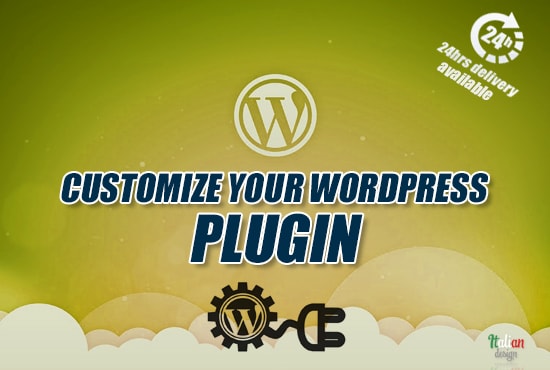 I will customize your wordpress plugin or theme