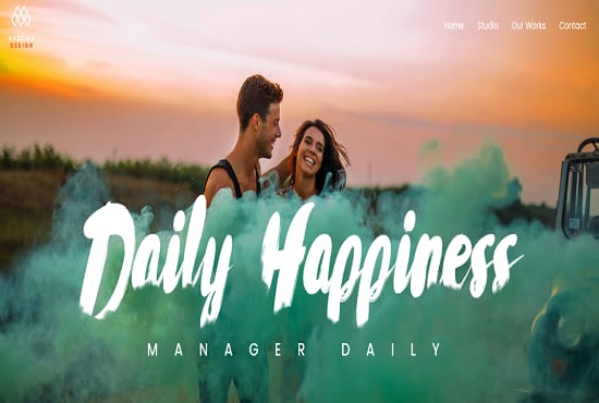 I will design and customize a wordpress website