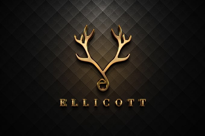 I will design outstanding,  minimalist and modern logo