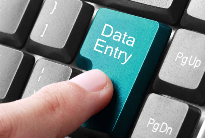 I will do any kind of data entry work