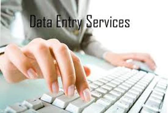 I will do any type MS Word Excel work24hr