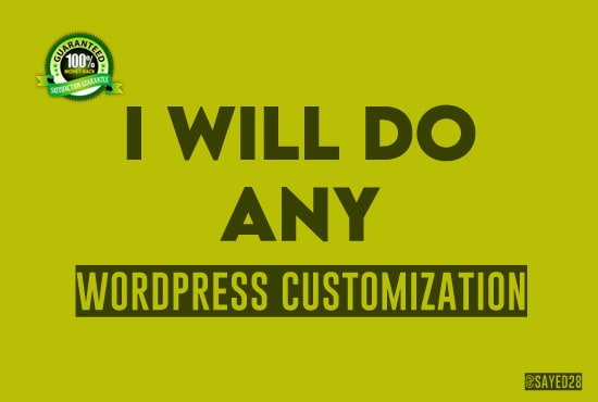 I will do any wordpress customization