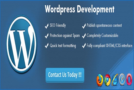 I will do custom theme development in word press at cheap price