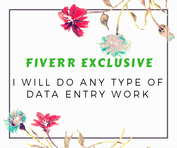 I will do data entry from website, PDF or any other source