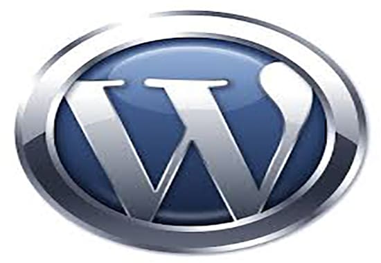 I will do your wordpress and woocommerce customization