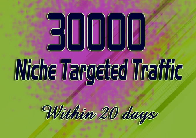 I will drive unlimited niche targeted website, traffic, visitors for 20 days