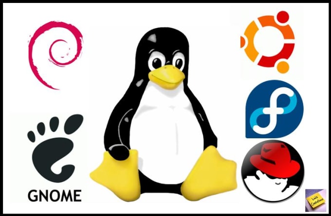 I will help you on any tasks on unix and linux server