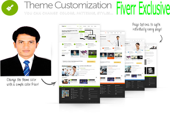 I will install and customize your wordpress theme