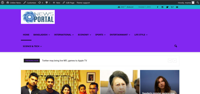 I will install wordpress theme and add demo within 3 hours