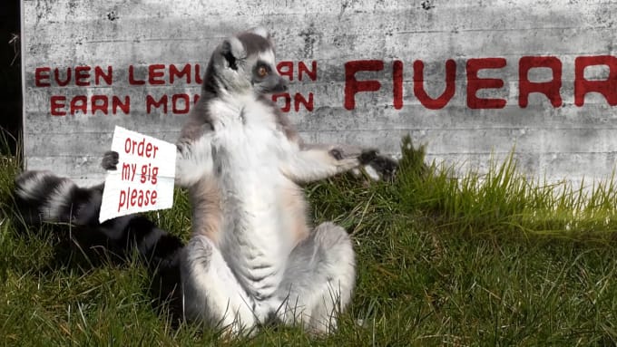 I will make funny lemur video