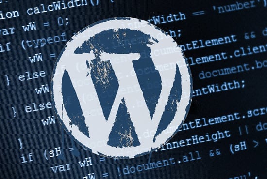 I will make the best wordpress website