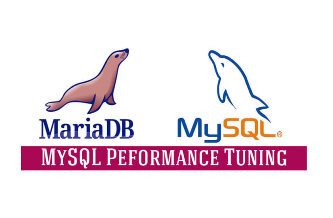 I will optimize mysql or mariadb database server