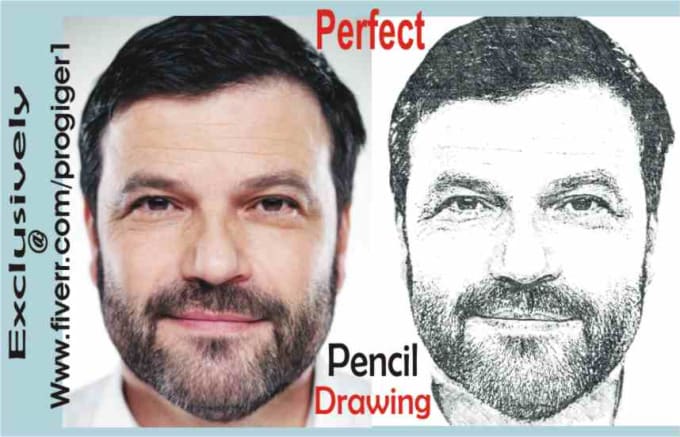 I will perfectly pencil DRAW any of your Picture