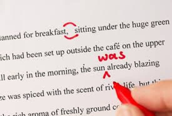 I will proofread and edit any document