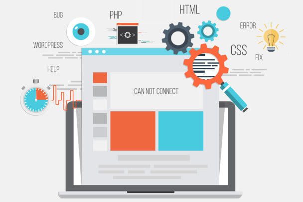 I will provide a quick Bug Fixes for WordPress Site