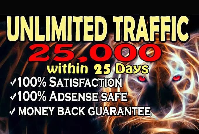 I will provide real web traffic