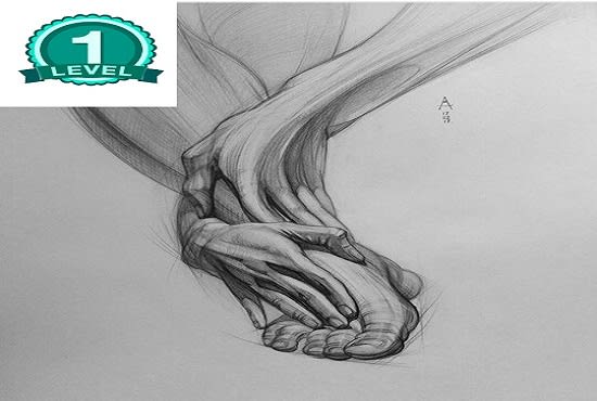 I will provide sketching and drawing services