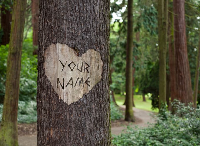 I will put your message On a Love Tree Curve
