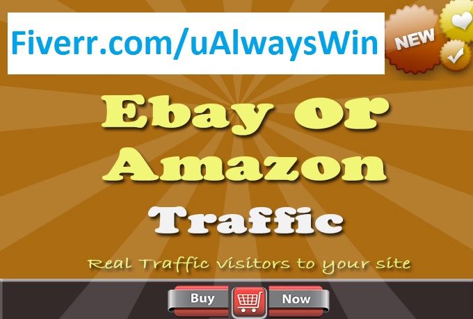 I will send you 11000 plus ebay or amazon traffic visitors