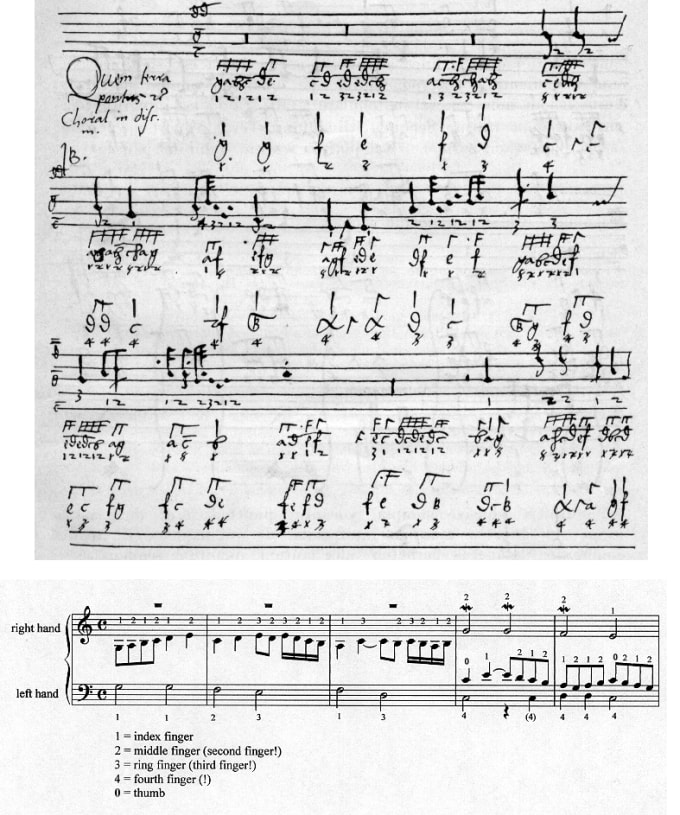 I will transcribe your music to Finale