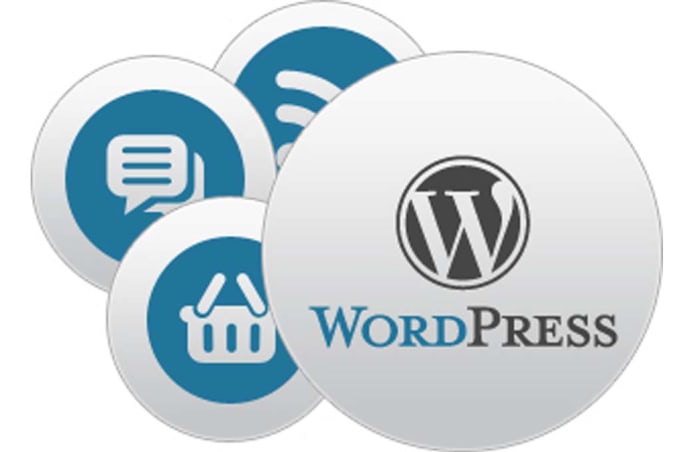 I will build wordpress site for your business