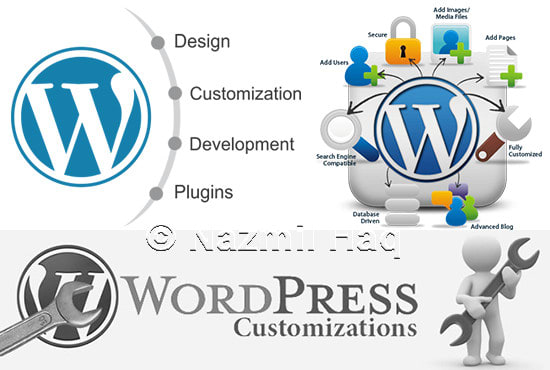 I will customize your wordpress site