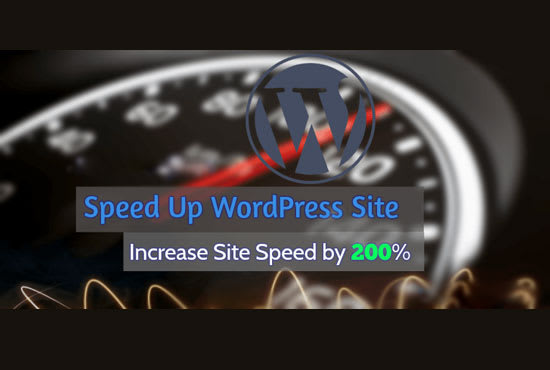 I will do advanced speed optimization for wordpress website