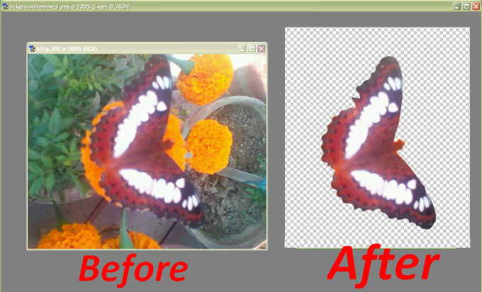 I will do image editing, create animated GIF and animation movie