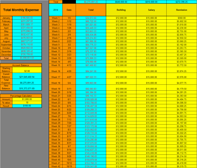 I will do professional excel template, chart and formula