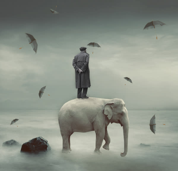 I will do professional photo manipulation and photo resizing
