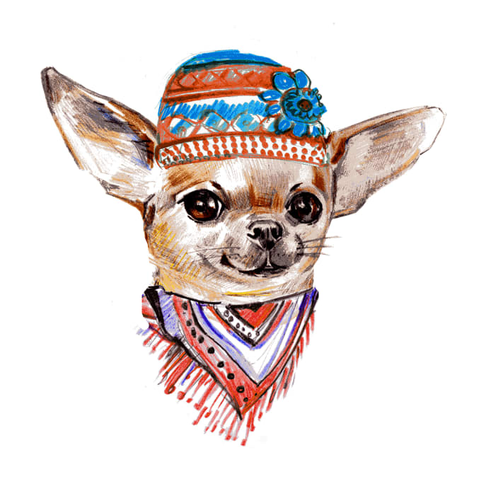 I will draw portraits of animals