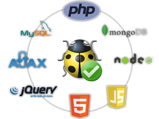 I will fix any bugs in your web applications