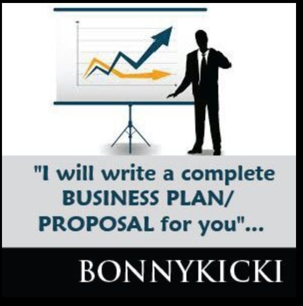 I will professionally write a business plan or proposal