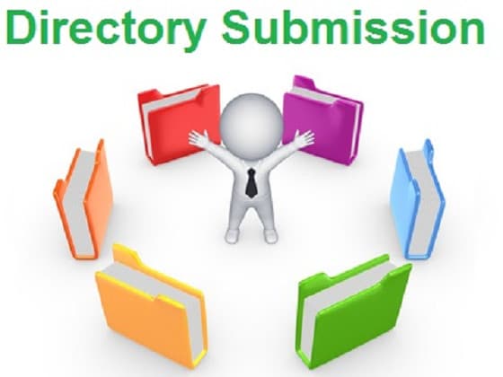 I will provide 10 permanent links from authority web directories