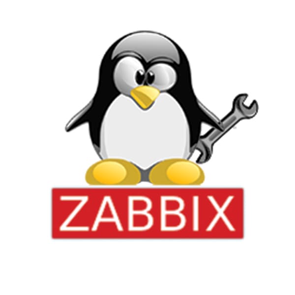 I will set up and teach zabbix