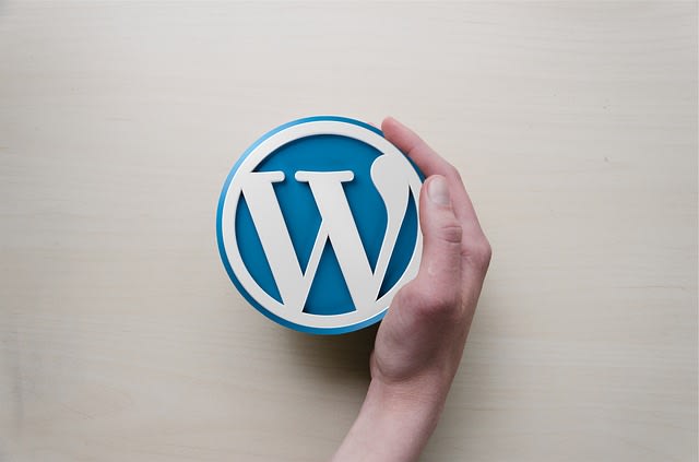 I will set up your wordpress website