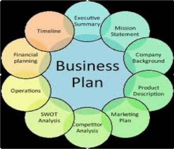 I will write a professional investor winning business plan