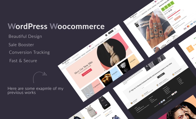 I will build a professional ecommerce website with wordpress