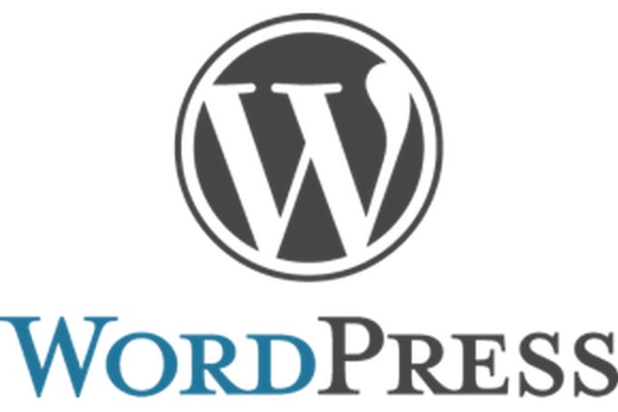 I will create wordpress website design or wordpress customization