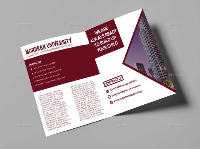 I will design any trifold or bifold brochure for you