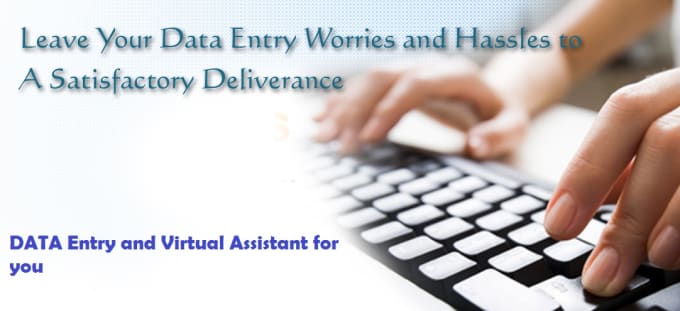 I will do Data Entry and Virtual Assistant Job for you