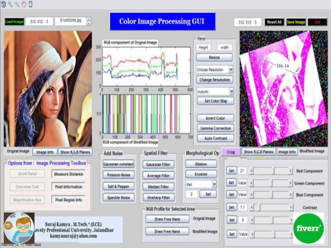 I will do MATLAB image processing project