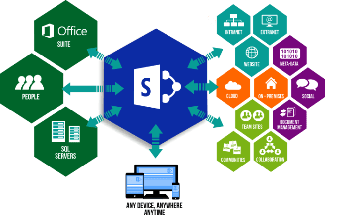 I will do sharepoint online solutions