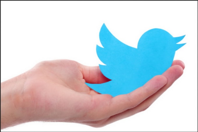 I will do twitter influencers search for your product marketing