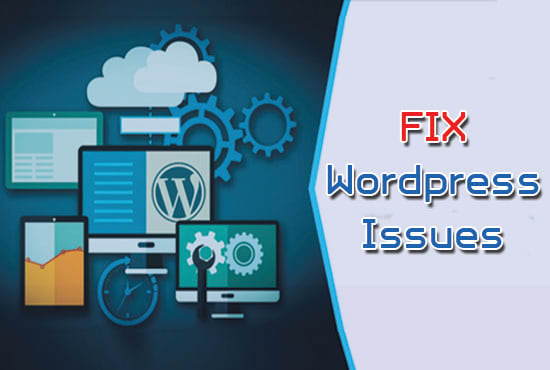 I will fix any issue,problem on your wordpress website