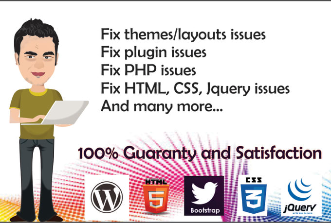 I will fix bugs in wordpress website