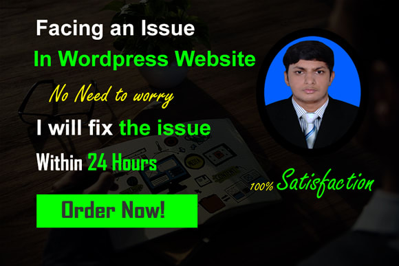 I will fix wordpress issues, errors and do wordpress customization