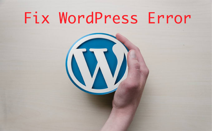 I will fix wordpress website issues in 24 hrs