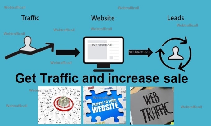 I will increase your website revenue through web traffic